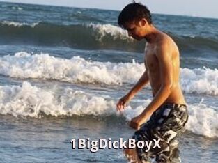 1BigDickBoyX