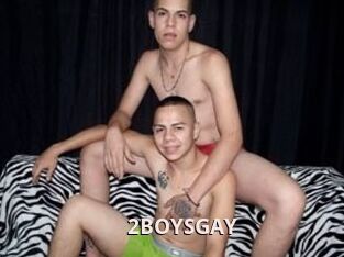 2BOYS_GAY