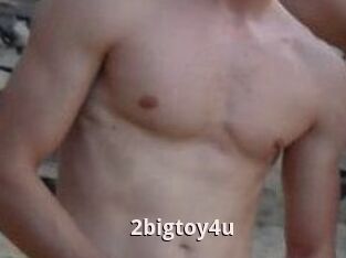 2bigtoy4u