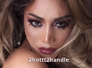 2hottt2handle