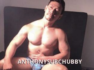 ANTHONYSUBCHUBBY