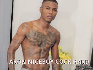 ARON_NICEBOY_COCK_HARD