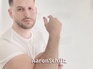 AaronSchulz