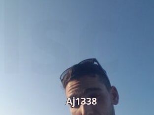 Aj1338