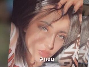 Aneu