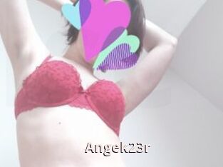 Angek23r