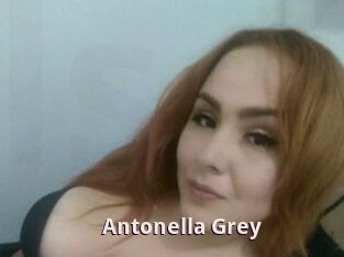 Antonella_Grey
