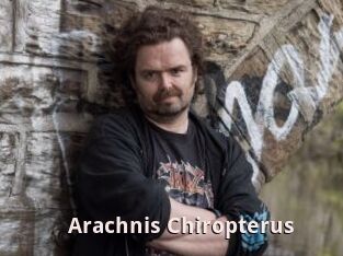 Arachnis_Chiropterus