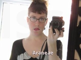 Araneae