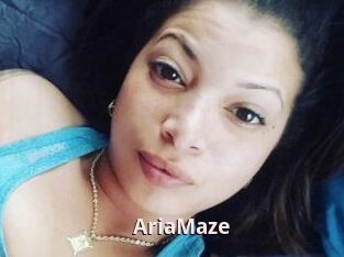 Aria_Maze