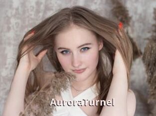 AuroraTurnel