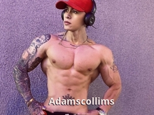 Adamscollims