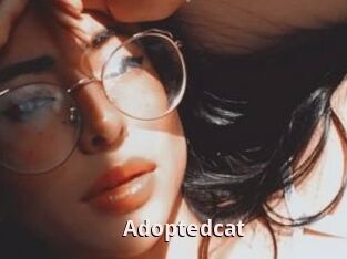 Adoptedcat