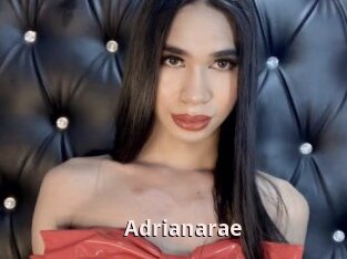 Adrianarae