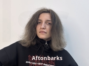 Aftonbarks
