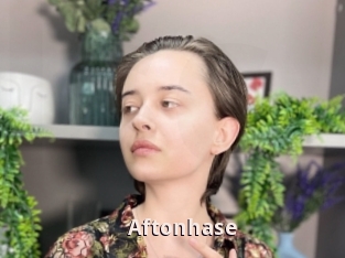 Aftonhase