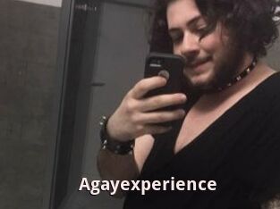 Agayexperience