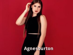 Agnesburton