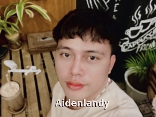 Aidenlandy
