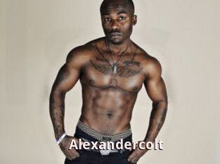 Alexandercolt