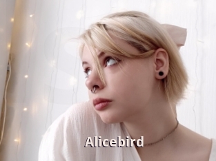 Alicebird