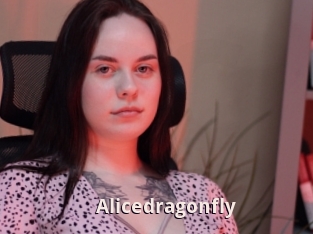 Alicedragonfly