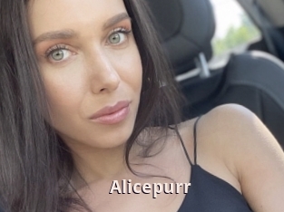 Alicepurr