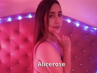 Alicerose