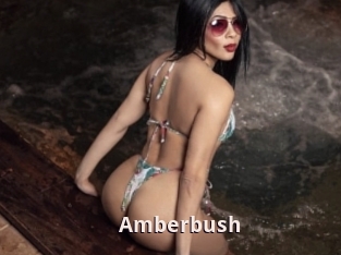 Amberbush