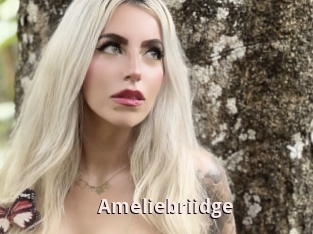Ameliebriidge