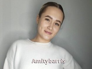 Amitybarris