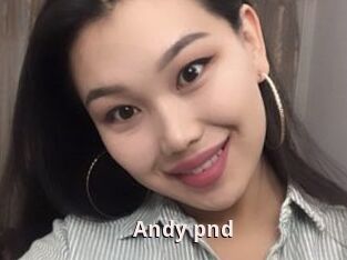 Andy_pnd