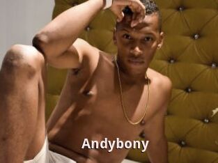 Andybony