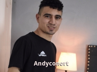 Andyconort