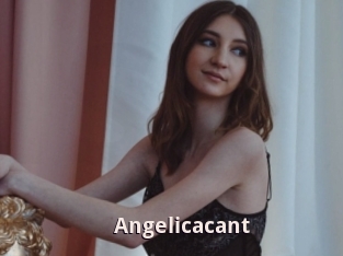 Angelicacant