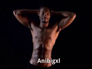 Anibigxl