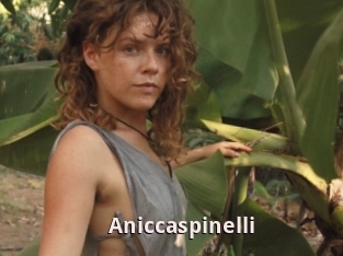 Aniccaspinelli