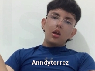 Anndytorrez