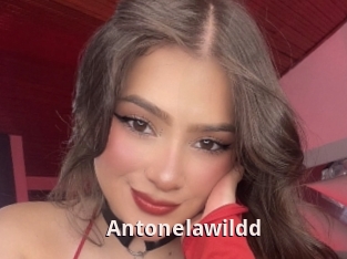 Antonelawildd