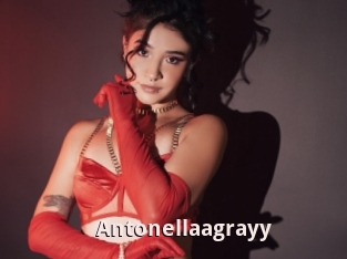 Antonellaagrayy