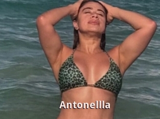 Antonellla