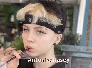 Antoniachasey