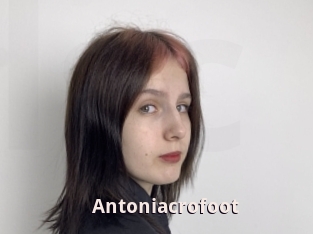 Antoniacrofoot