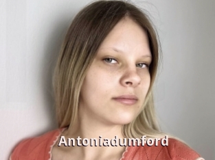Antoniadumford