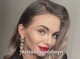 Antoniagoodwyn