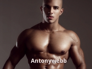 Antonywebb