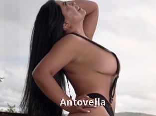 Antovella