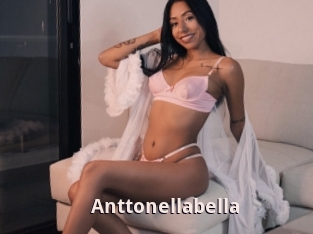 Anttonellabella