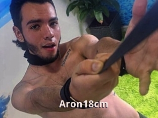 Aron18cm