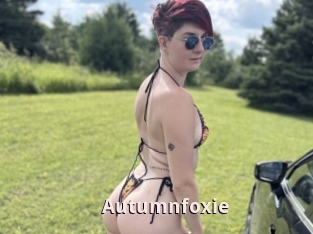 Autumnfoxie